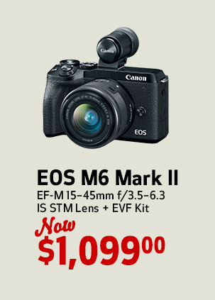 EOS M6 Mark II + EVF Kit