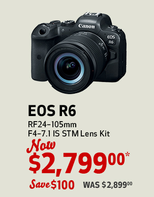 EOS R6 RF24–105 STM Lens Kit