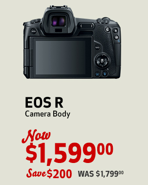 EOS R Camera Body Kit backside