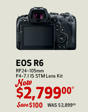 EOS R6 RF24–105 STM Lens Kit backside